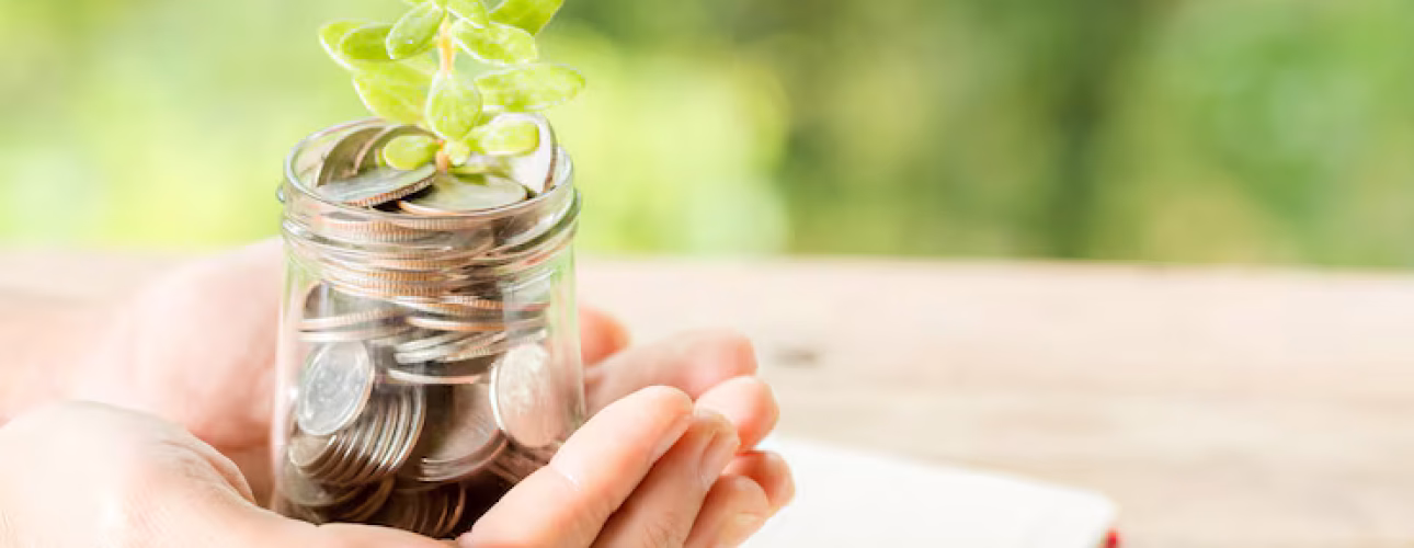 mano-mujer-sosteniendo-planta-que-crece-botella-monedas_1150-17715